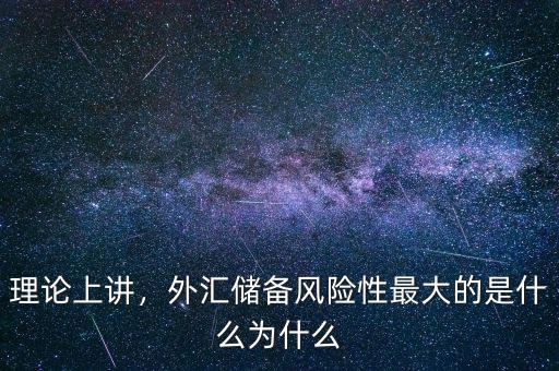 理論上講，外匯儲備風(fēng)險性最大的是什么為什么