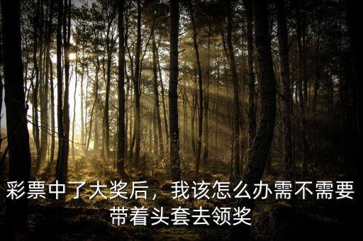 彩票中了大獎后，我該怎么辦需不需要帶著頭套去領(lǐng)獎