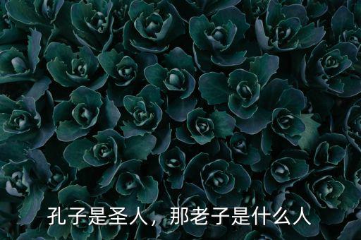 孔子是圣人，那老子是什么人