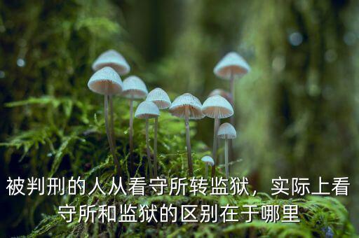 被判刑的人從看守所轉(zhuǎn)監(jiān)獄，實(shí)際上看守所和監(jiān)獄的區(qū)別在于哪里