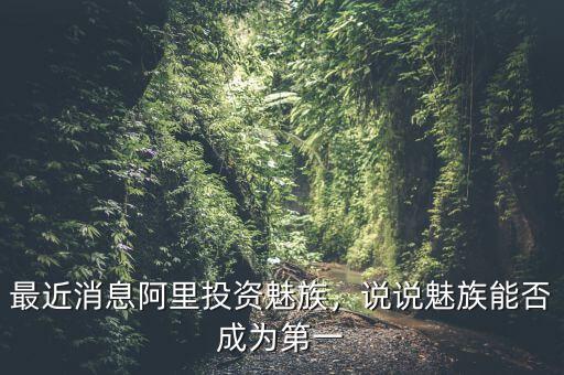 最近消息阿里投資魅族，說說魅族能否成為第一