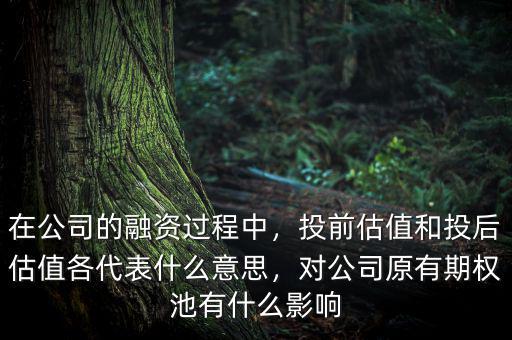 在公司的融資過(guò)程中，投前估值和投后估值各代表什么意思，對(duì)公司原有期權(quán)池有什么影響