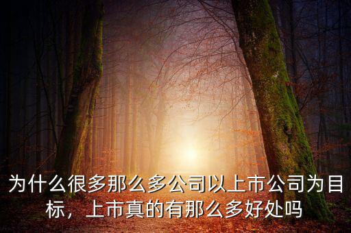 為什么很多那么多公司以上市公司為目標(biāo)，上市真的有那么多好處嗎