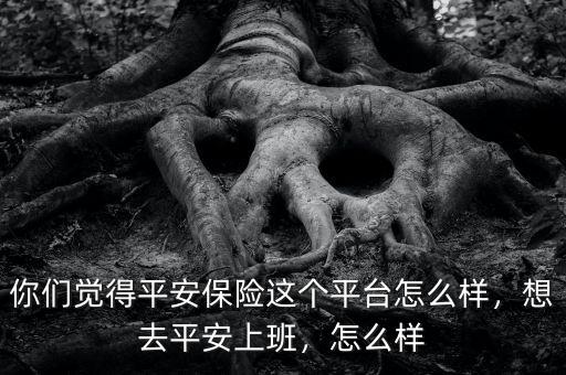 你們覺得平安保險(xiǎn)這個平臺怎么樣，想去平安上班，怎么樣