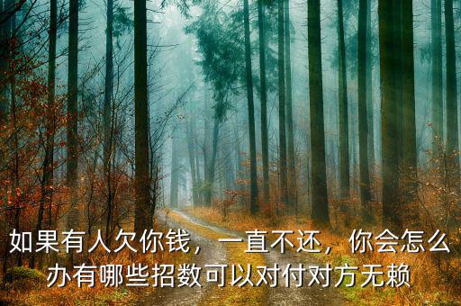 如果有人欠你錢，一直不還，你會怎么辦有哪些招數(shù)可以對付對方無賴