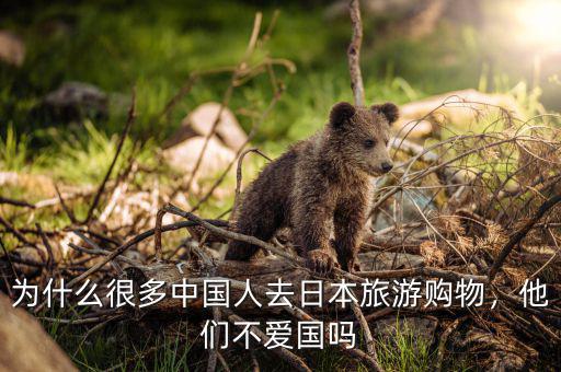 為什么很多中國人去日本旅游購物，他們不愛國嗎