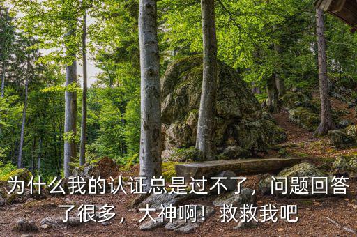 為什么我的認(rèn)證總是過不了，問題回答了很多，大神?。【染任野? class=