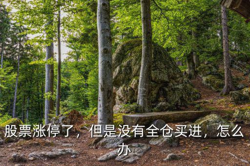 股票漲停了，但是沒有全倉買進(jìn)，怎么辦