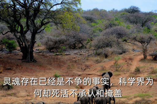靈魂存在已經(jīng)是不爭的事實，科學(xué)界為何卻死活不承認(rèn)和掩蓋