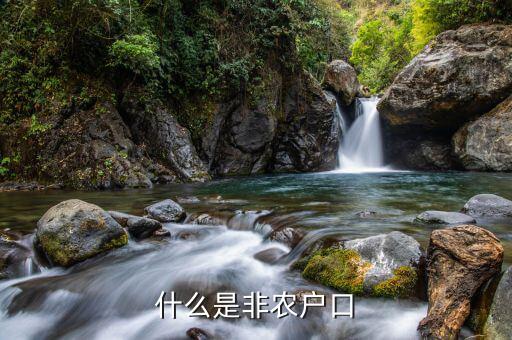 非農(nóng)時(shí)期是什么意思,什么是非農(nóng)戶(hù)口