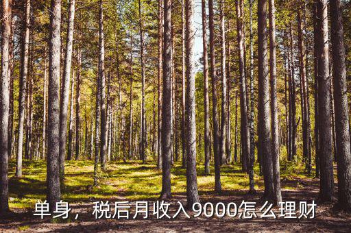 單身，稅后月收入9000怎么理財(cái)