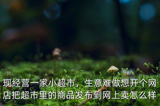 現(xiàn)經(jīng)營一家小超市，生意難做想開個網(wǎng)店把超市里的商品發(fā)布到網(wǎng)上賣怎么樣