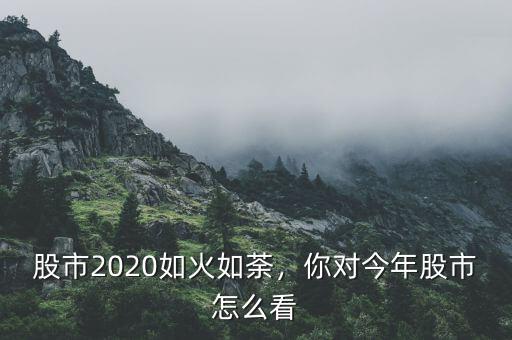 股市2020如火如荼，你對今年股市怎么看