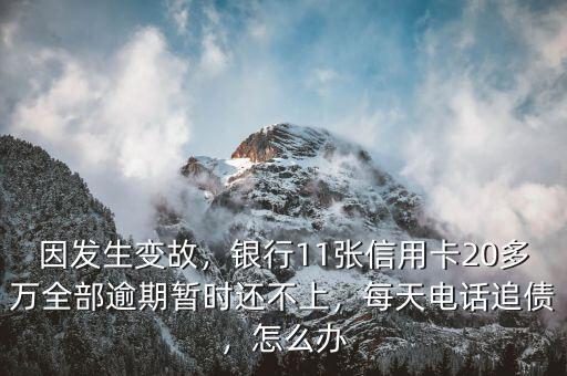 因發(fā)生變故，銀行11張信用卡20多萬(wàn)全部逾期暫時(shí)還不上，每天電話追債，怎么辦