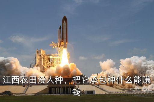 江西農(nóng)田沒人種，把它承包種什么能賺錢