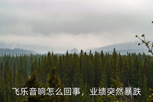 飛樂(lè)音響怎么回事，業(yè)績(jī)突然暴跌