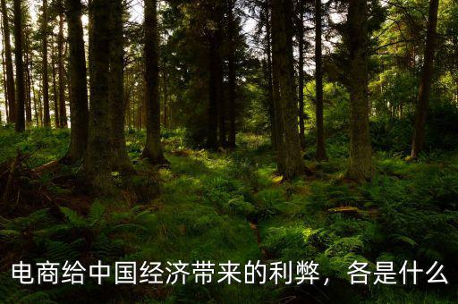 電商給中國經(jīng)濟(jì)帶來的利弊，各是什么