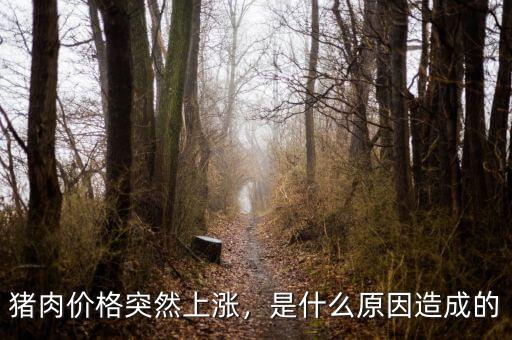 豬肉價格突然上漲，是什么原因造成的