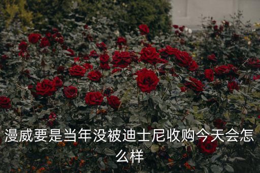 迪士尼什么時(shí)候收購(gòu)漫威,迪士尼收購(gòu)?？怂?/></a></span><span id=