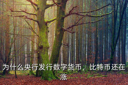 為什么央行發(fā)行數(shù)字貨幣，比特幣還在漲