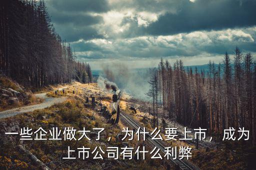 一些企業(yè)做大了，為什么要上市，成為上市公司有什么利弊
