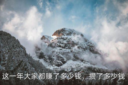 這一年大家都賺了多少錢，攢了多少錢