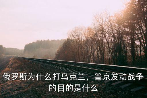 俄羅斯為什么打?yàn)蹩颂m，普京發(fā)動(dòng)戰(zhàn)爭(zhēng)的目的是什么