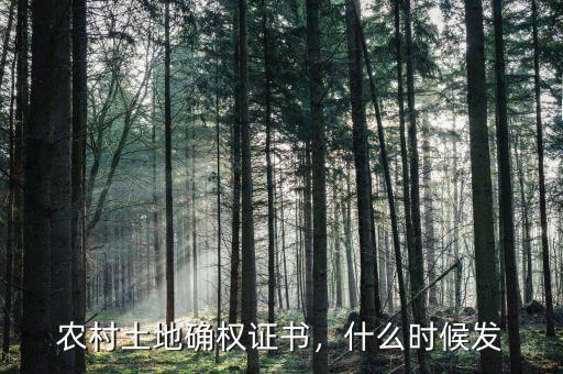 農(nóng)村土地確權(quán)證書，什么時(shí)候發(fā)