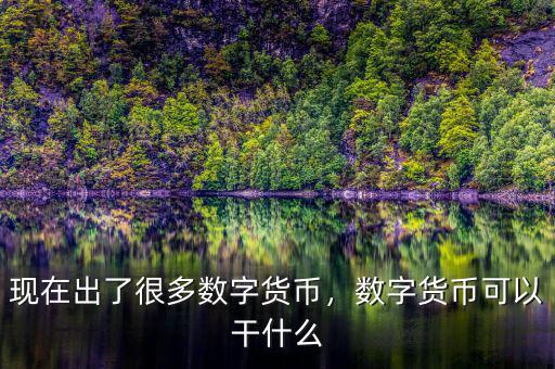 現(xiàn)在出了很多數(shù)字貨幣，數(shù)字貨幣可以干什么