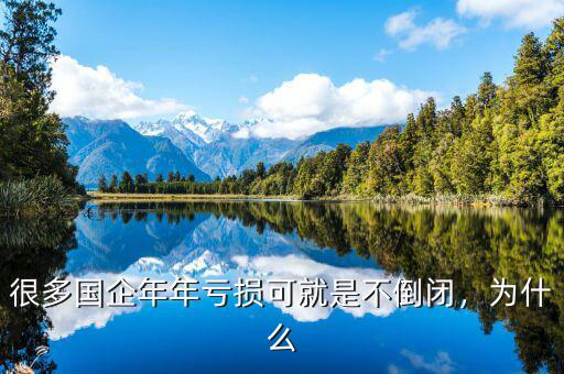 很多國(guó)企年年虧損可就是不倒閉，為什么