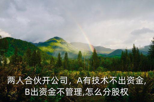 兩人合伙開公司，A有技術(shù)不出資金,B出資金不管理,怎么分股權(quán)