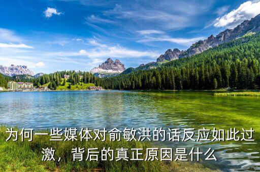 為何一些媒體對俞敏洪的話反應(yīng)如此過激，背后的真正原因是什么