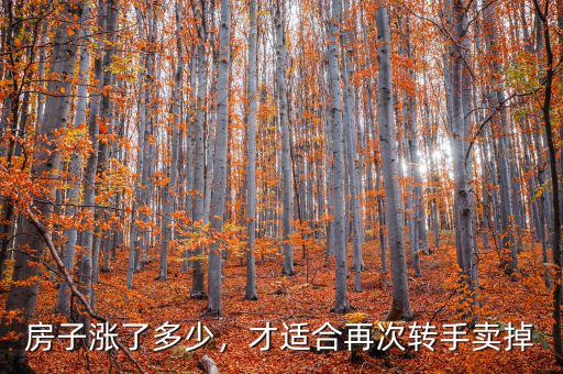 房子漲了多少，才適合再次轉(zhuǎn)手賣掉