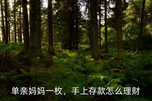 單親媽媽一枚，手上存款怎么理財(cái)