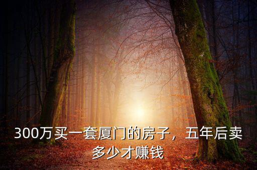 300萬買一套廈門的房子，五年后賣多少才賺錢