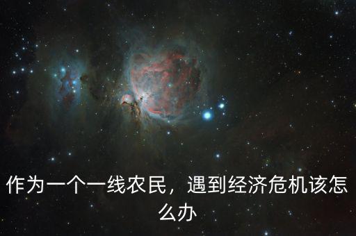 作為一個(gè)一線農(nóng)民，遇到經(jīng)濟(jì)危機(jī)該怎么辦