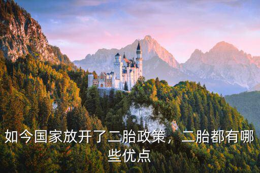 如今國家放開了二胎政策，二胎都有哪些優(yōu)點(diǎn)