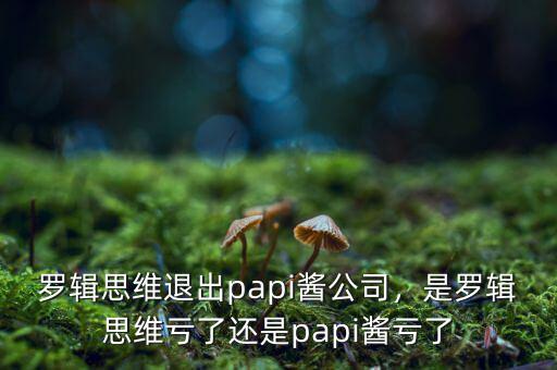 羅輯思維退出papi醬公司，是羅輯思維虧了還是papi醬虧了