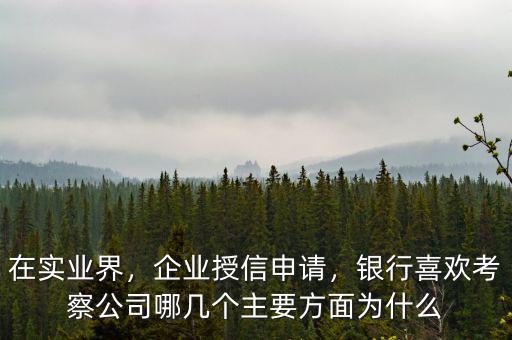 在實業(yè)界，企業(yè)授信申請，銀行喜歡考察公司哪幾個主要方面為什么