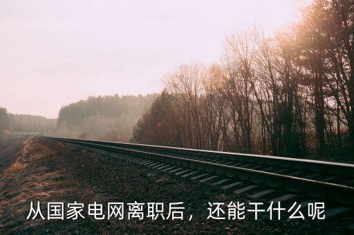 從國家電網離職后，還能干什么呢