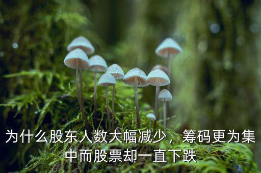 為什么股東人數(shù)大幅減少，籌碼更為集中而股票卻一直下跌
