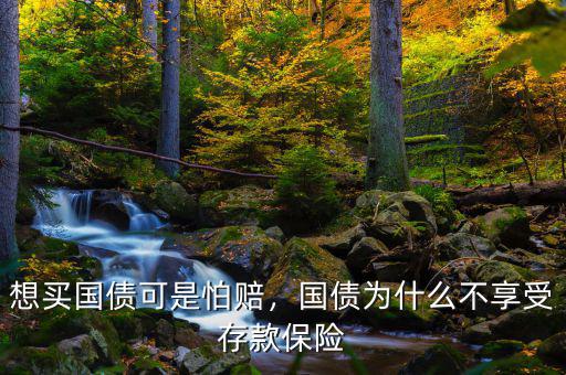 想買(mǎi)國(guó)債可是怕賠，國(guó)債為什么不享受存款保險(xiǎn)