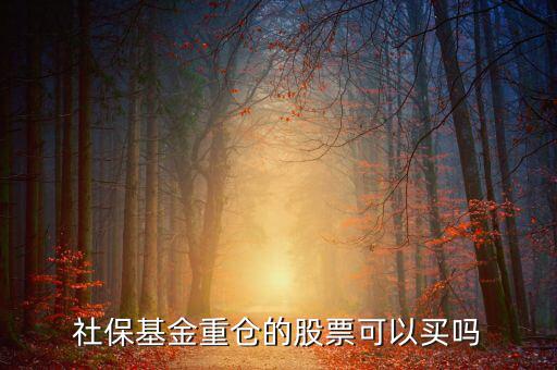 社保買了獐子島多少股票,社?；鹬貍}的股票可以買嗎