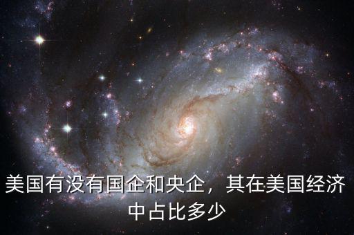 美國有沒有國企和央企，其在美國經(jīng)濟(jì)中占比多少