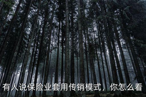 有人說(shuō)保險(xiǎn)業(yè)套用傳銷(xiāo)模式，你怎么看