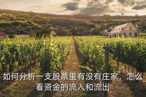 如何分析一支股票里有沒(méi)有莊家，怎么看資金的流入和流出