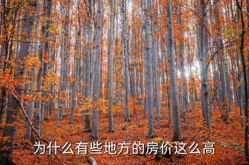 中國房?jī)r(jià)為什么那么高,中國房?jī)r(jià)為什么這么高
