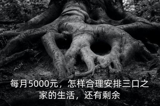 每月5000元，怎樣合理安排三口之家的生活，還有剩余