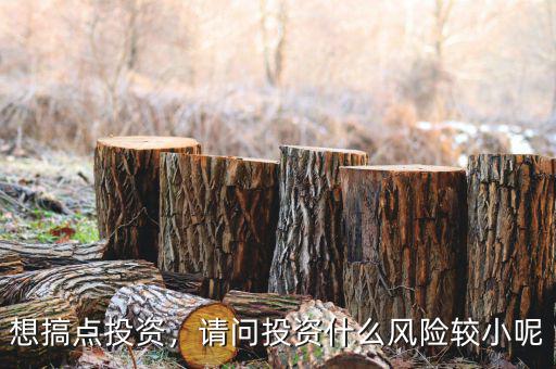 想搞點(diǎn)投資，請(qǐng)問投資什么風(fēng)險(xiǎn)較小呢