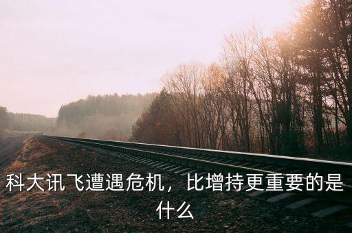 科大訊飛什么時候復(fù),科大訊飛遭遇危機(jī)